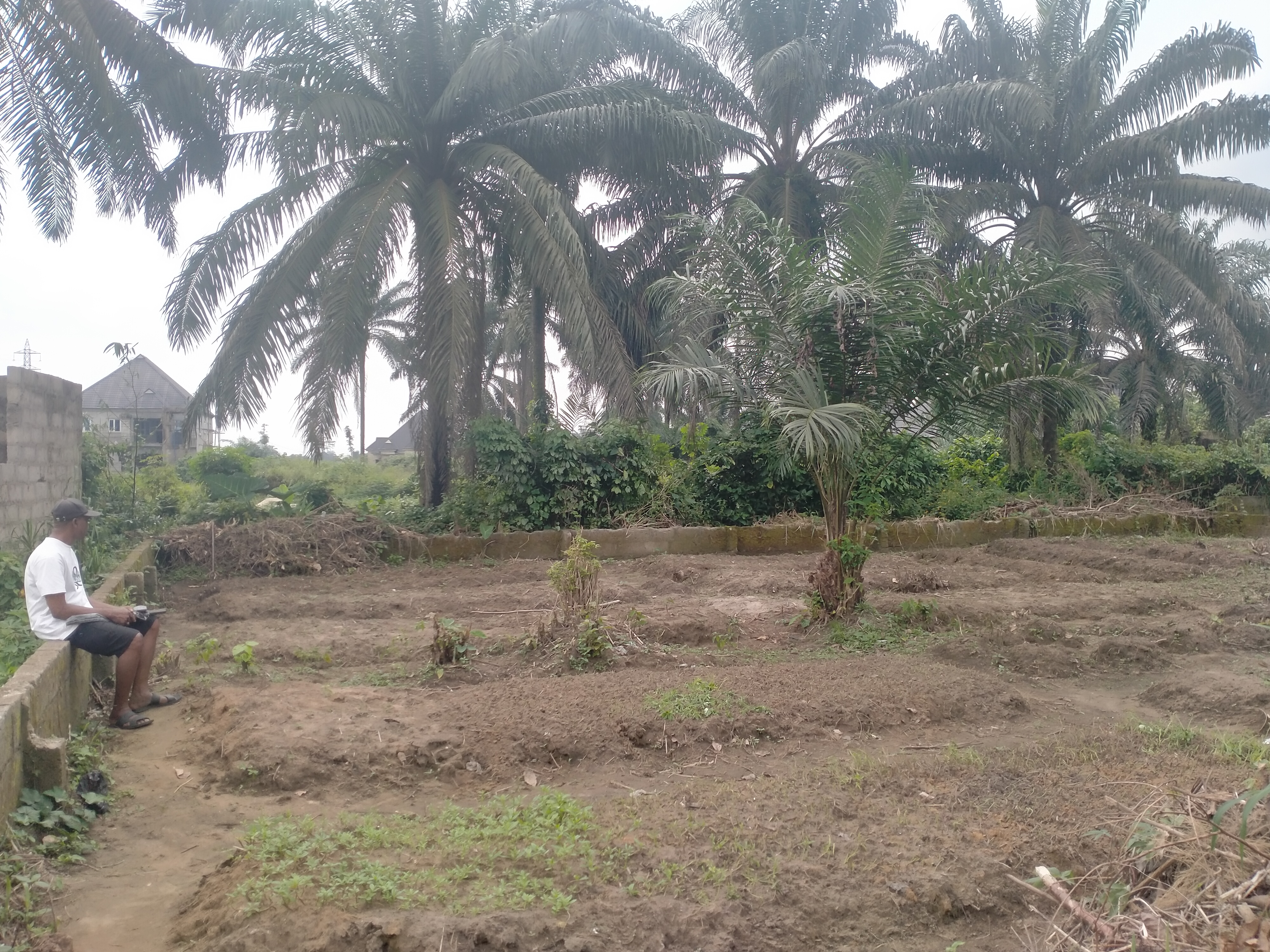One Plot Of Land At Obeama Oyigbo LGA Rivers State 